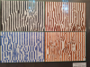 497702658_122156142488541660_7349937024335666396_n